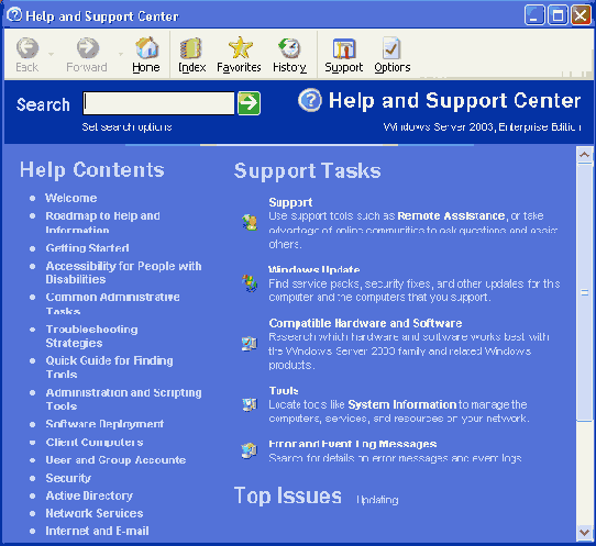 Окно справочной системы Windows Server