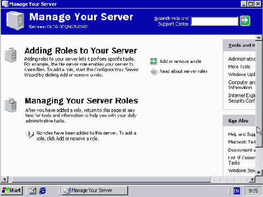 Окно утилиты Manage Your Server